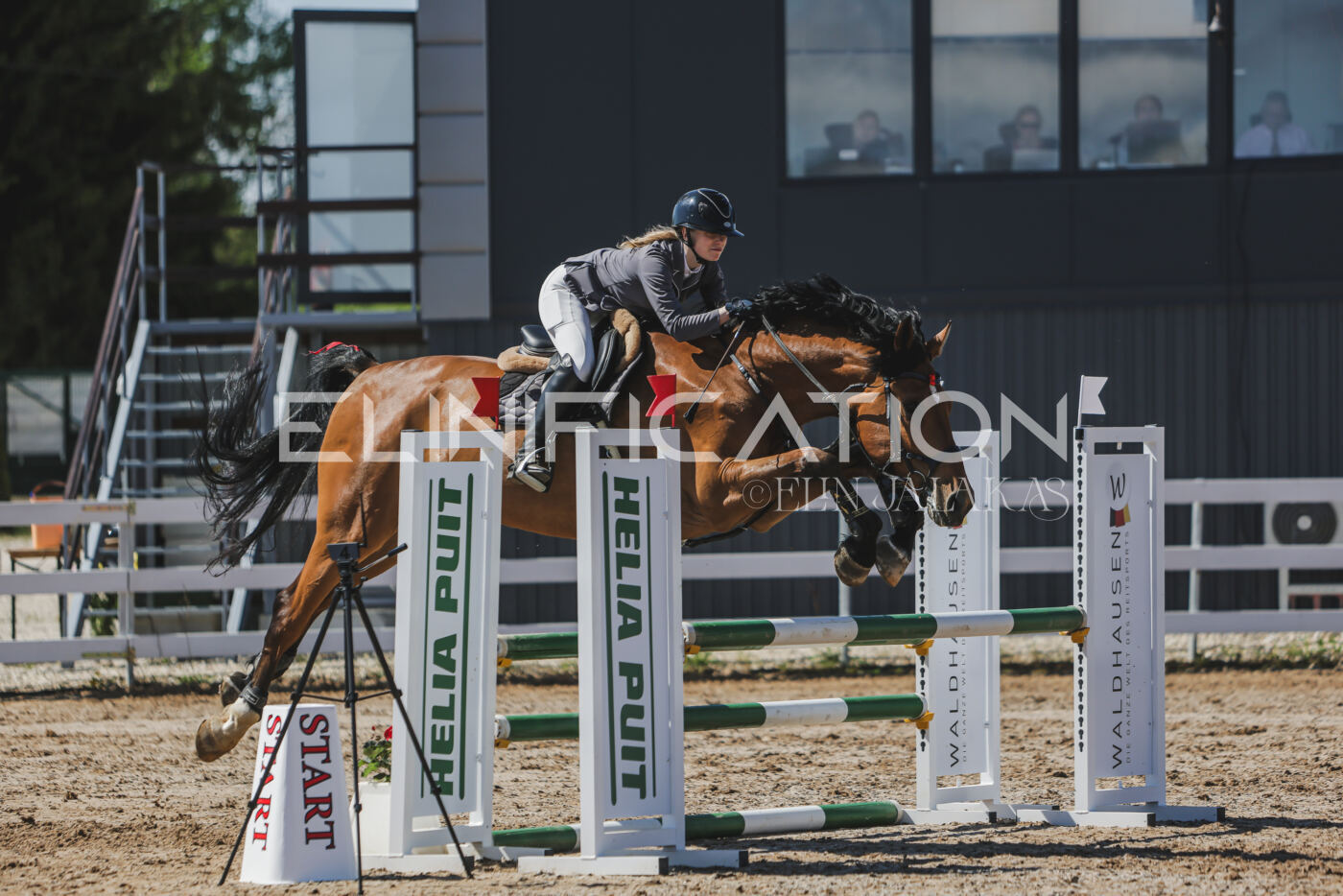 Gramina_Kevad_2026_90_550