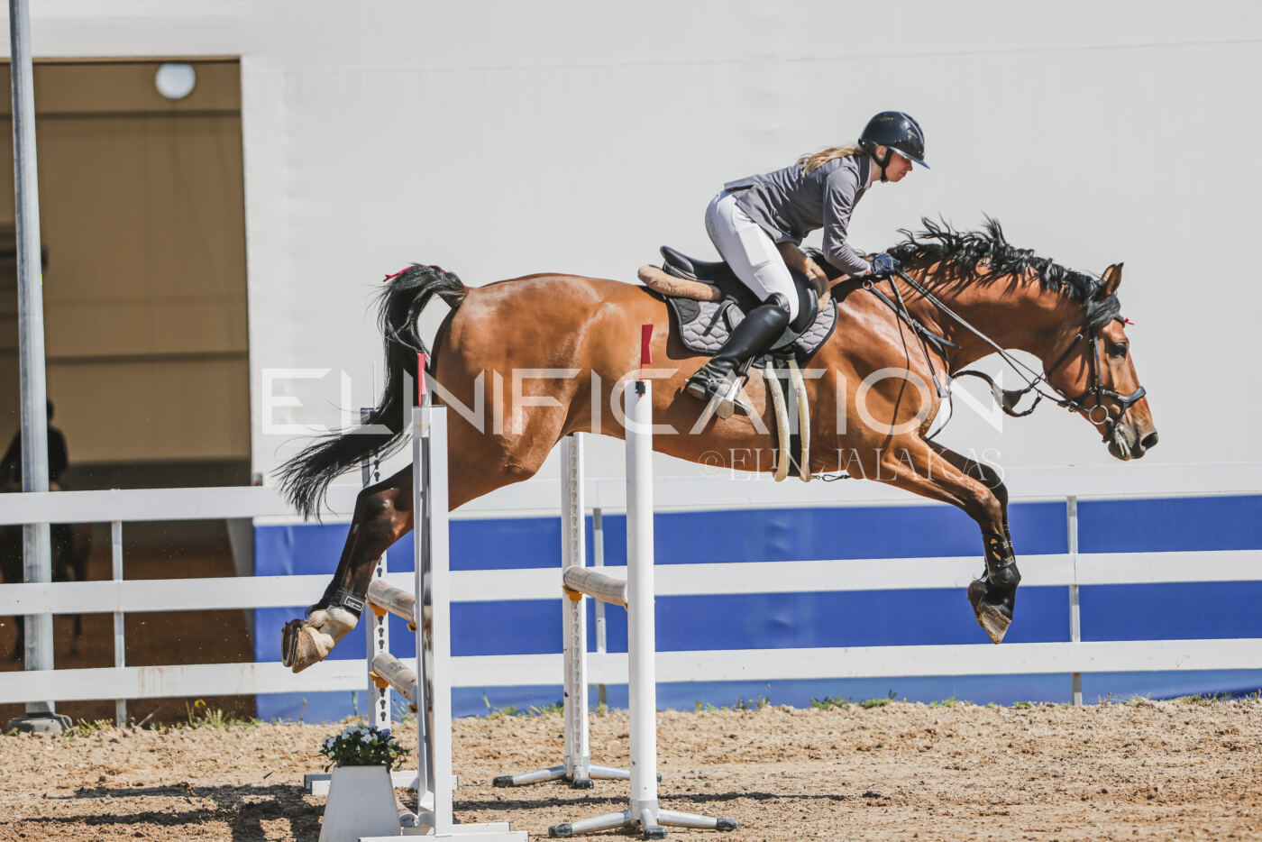 Gramina_Kevad_2026_90_555