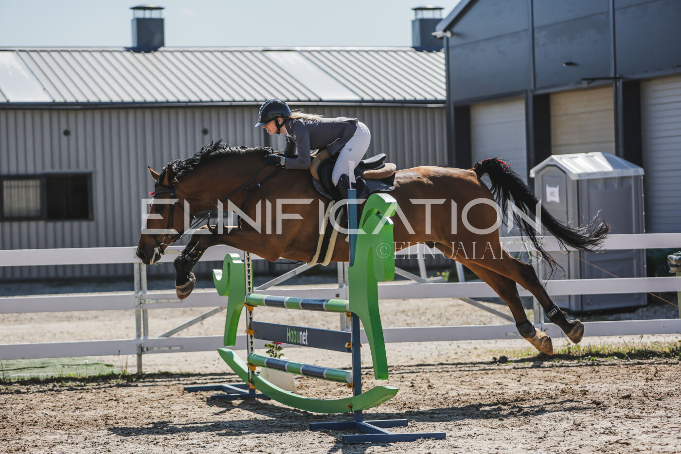Gramina_Kevad_2026_90_558