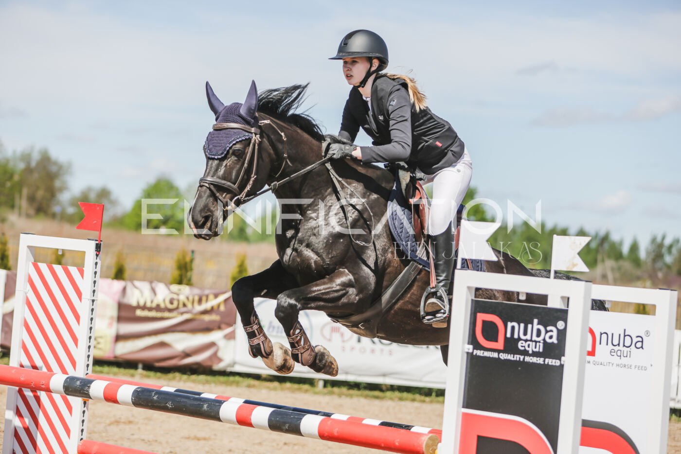Gramina_Kevad_2026_90_561