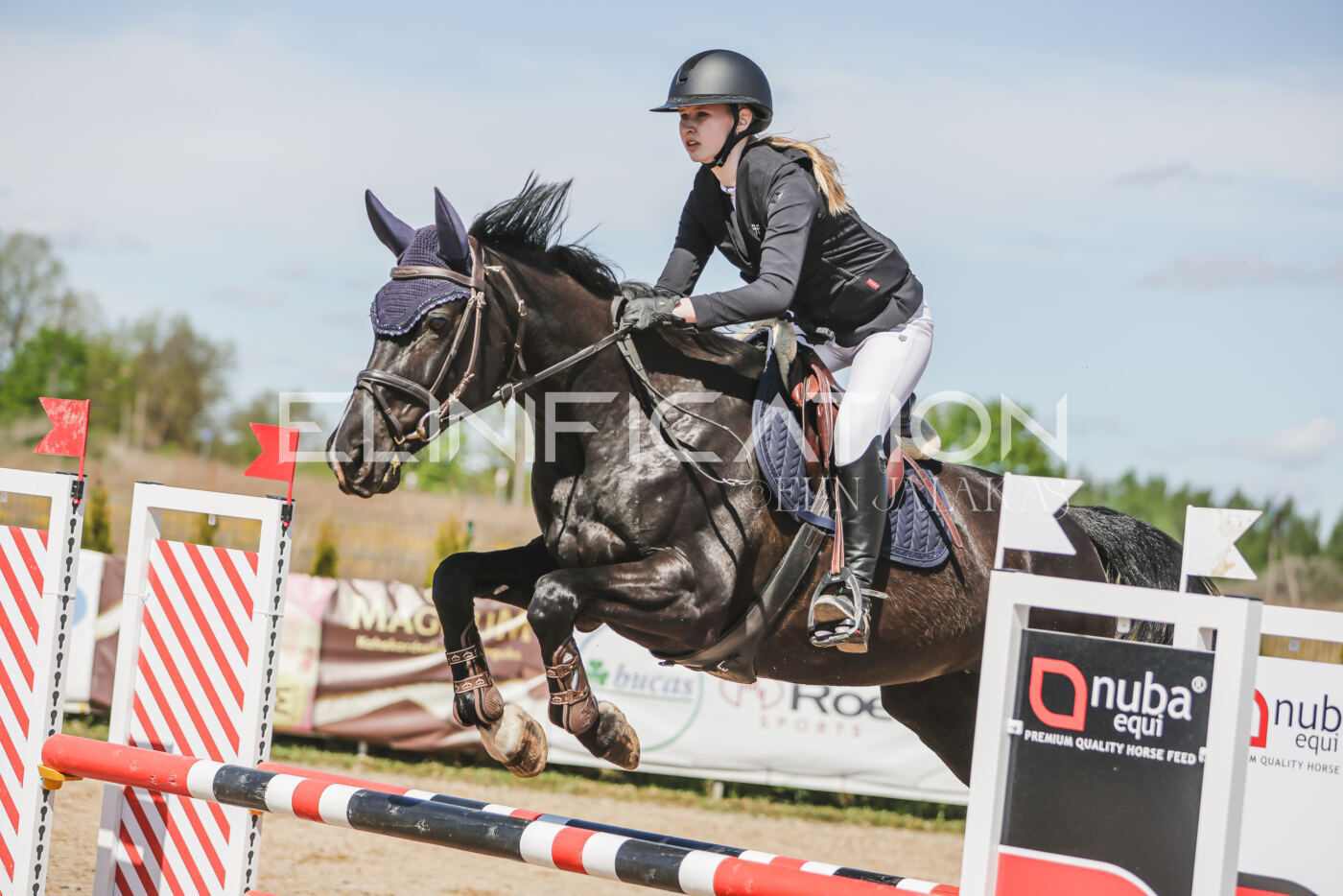 Gramina_Kevad_2026_90_562