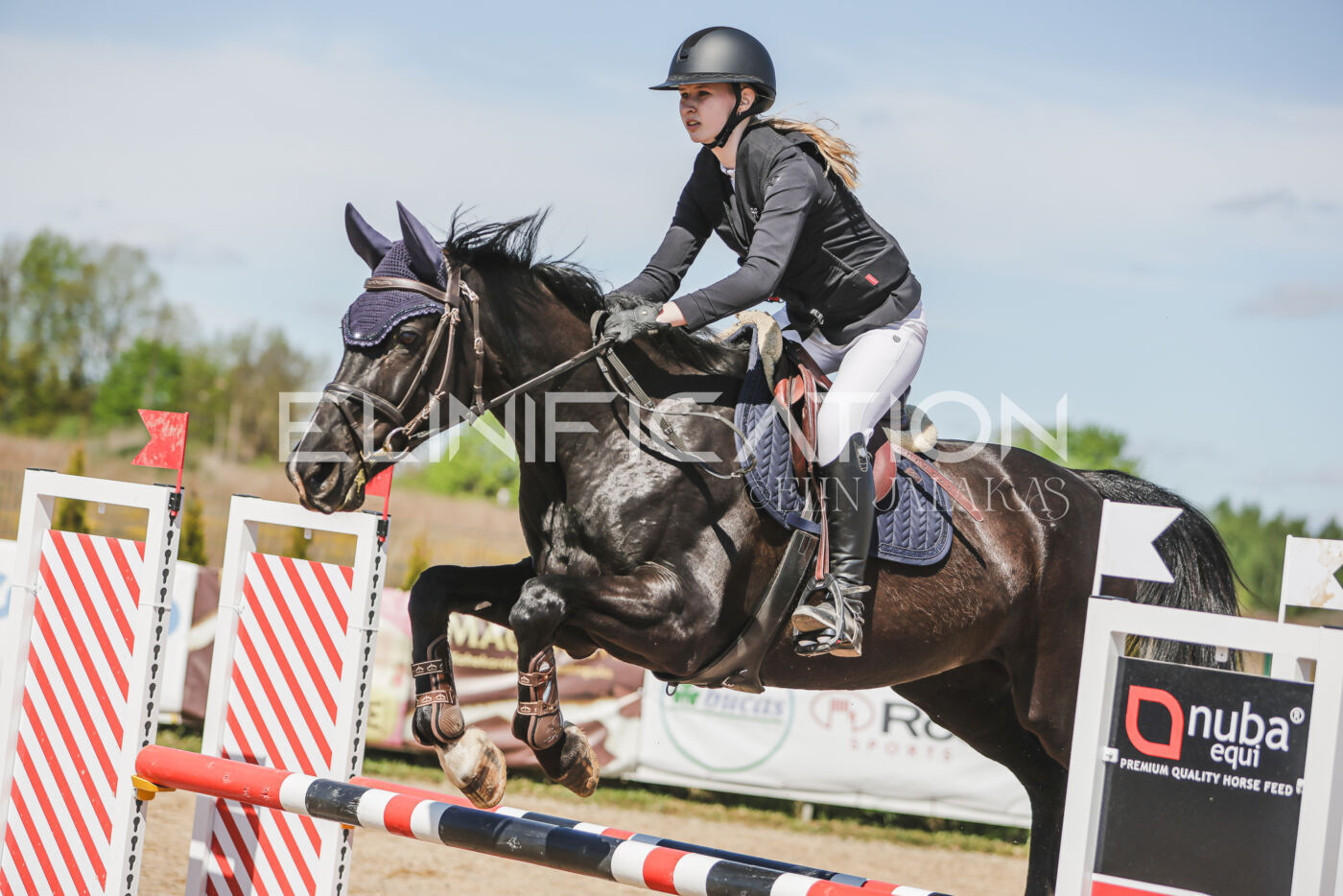 Gramina_Kevad_2026_90_563