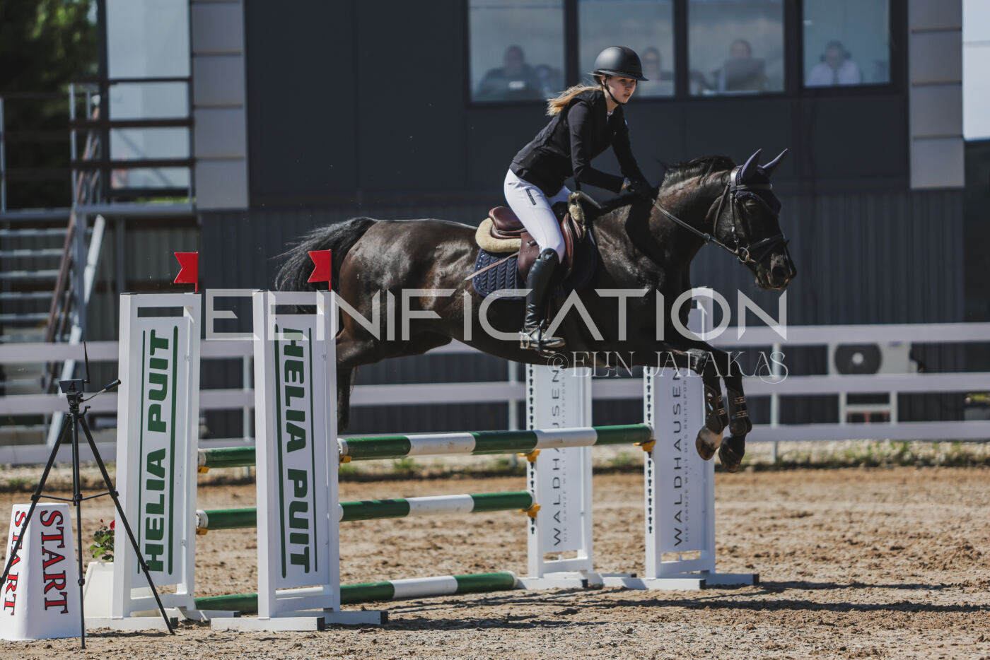 Gramina_Kevad_2026_90_565