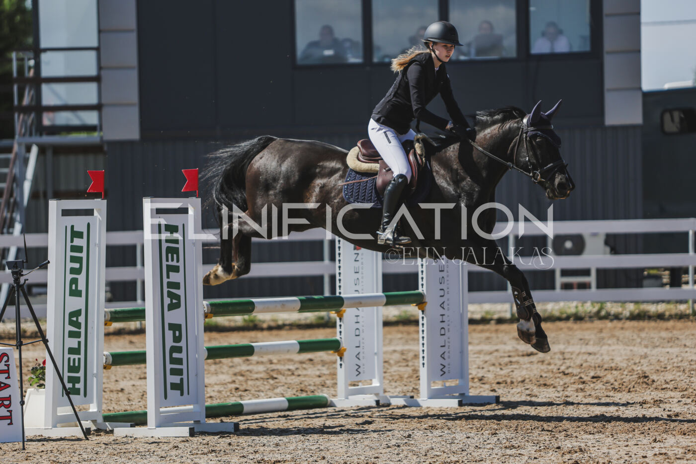 Gramina_Kevad_2026_90_566