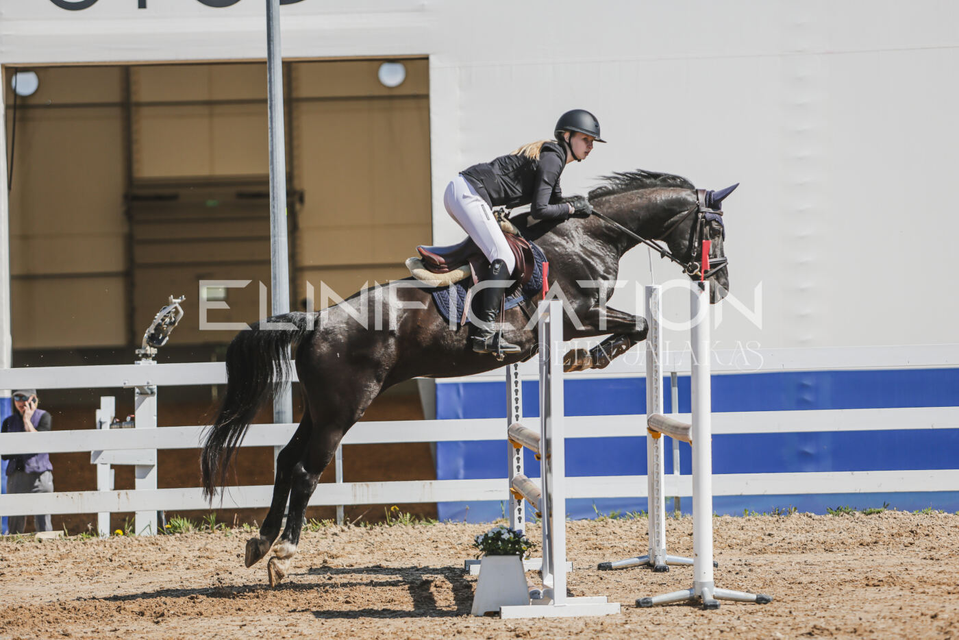 Gramina_Kevad_2026_90_570