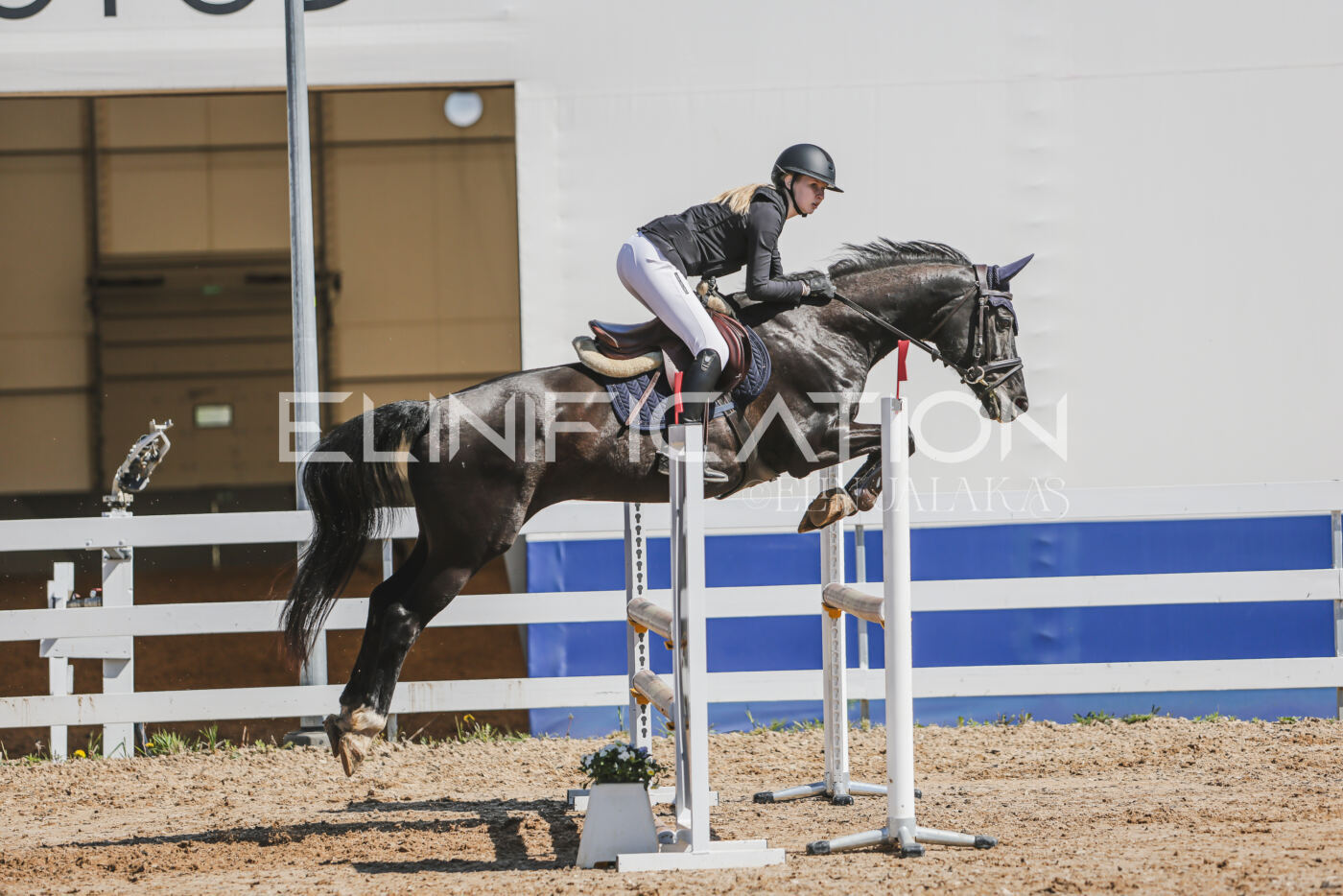 Gramina_Kevad_2026_90_571