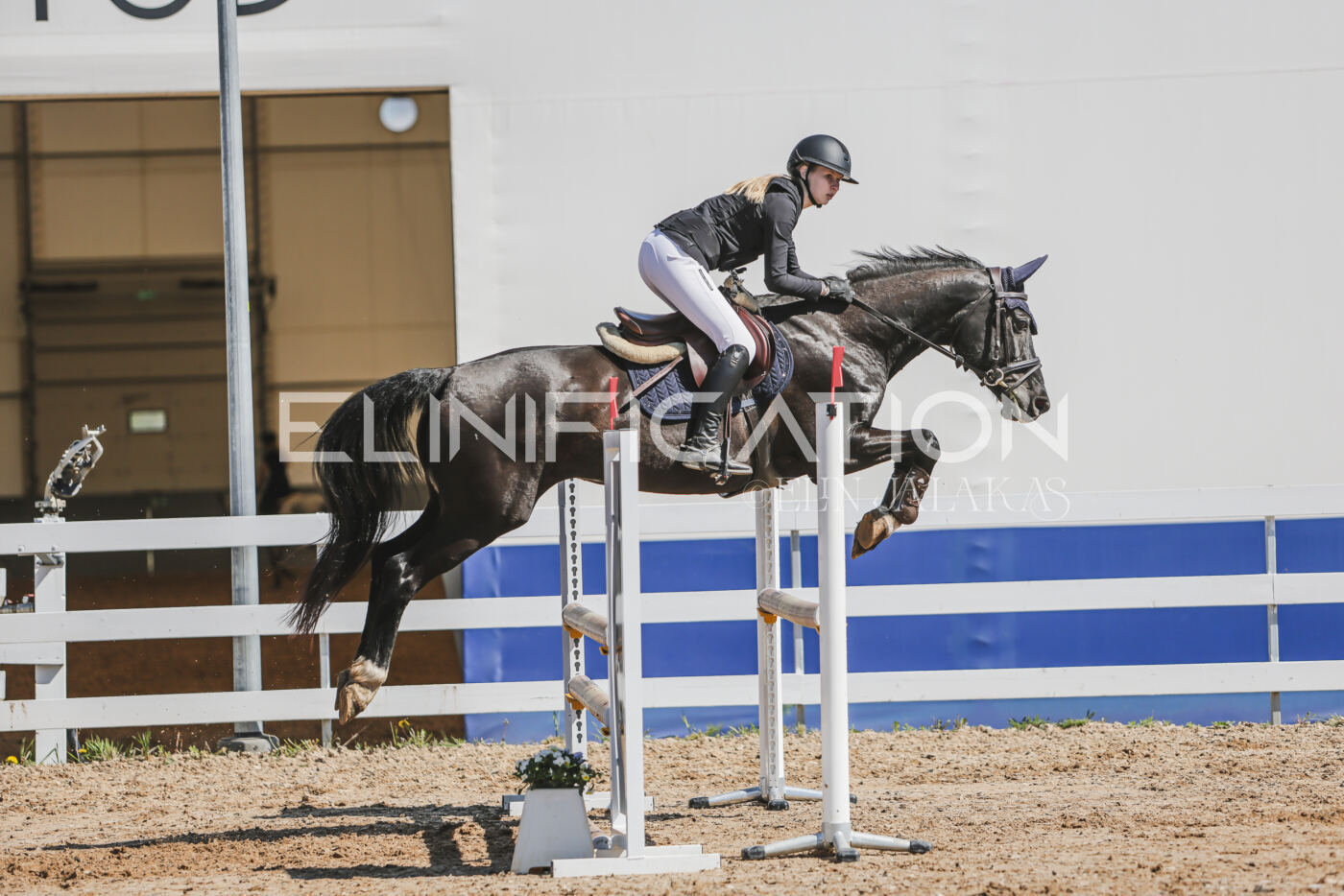 Gramina_Kevad_2026_90_572