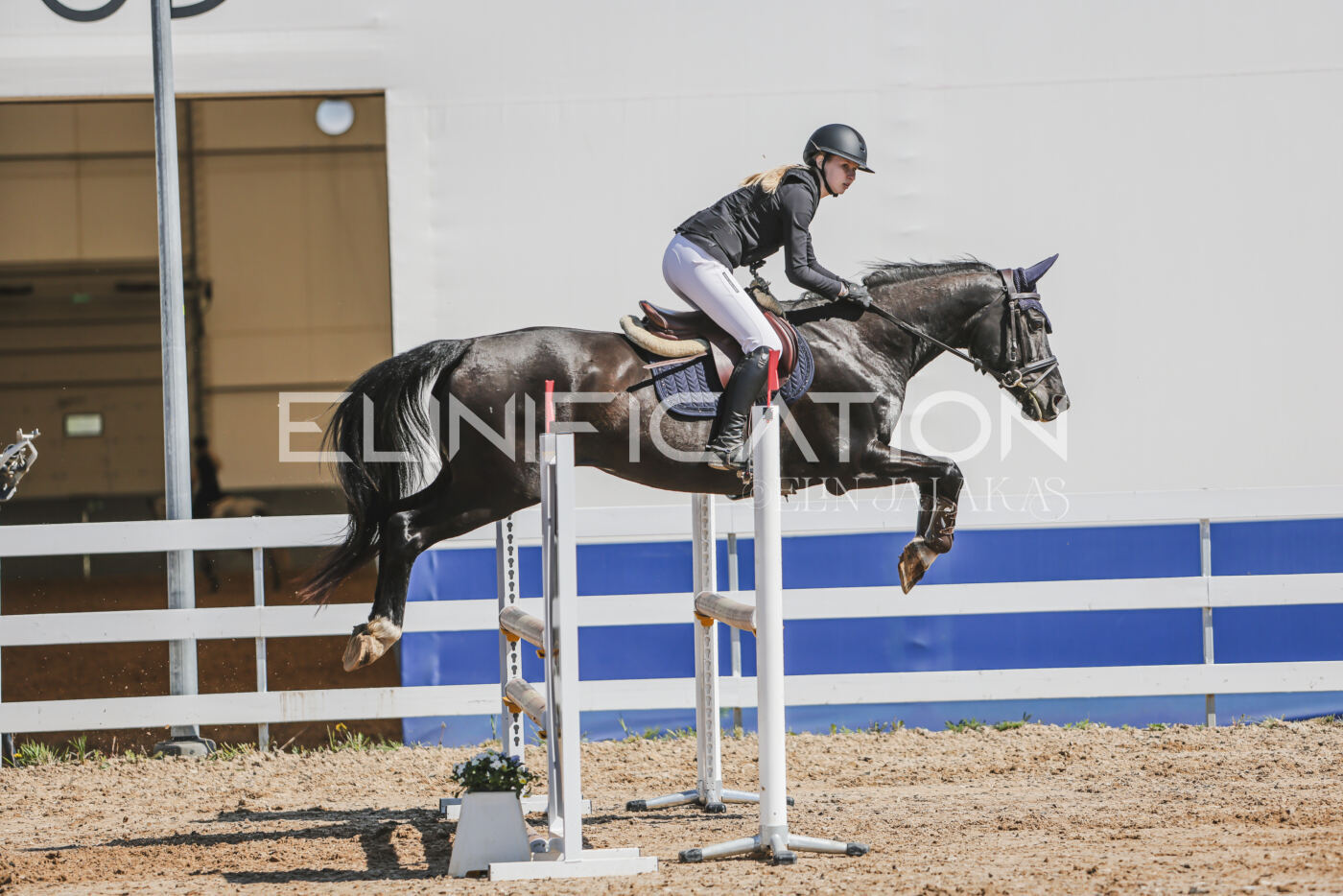Gramina_Kevad_2026_90_573