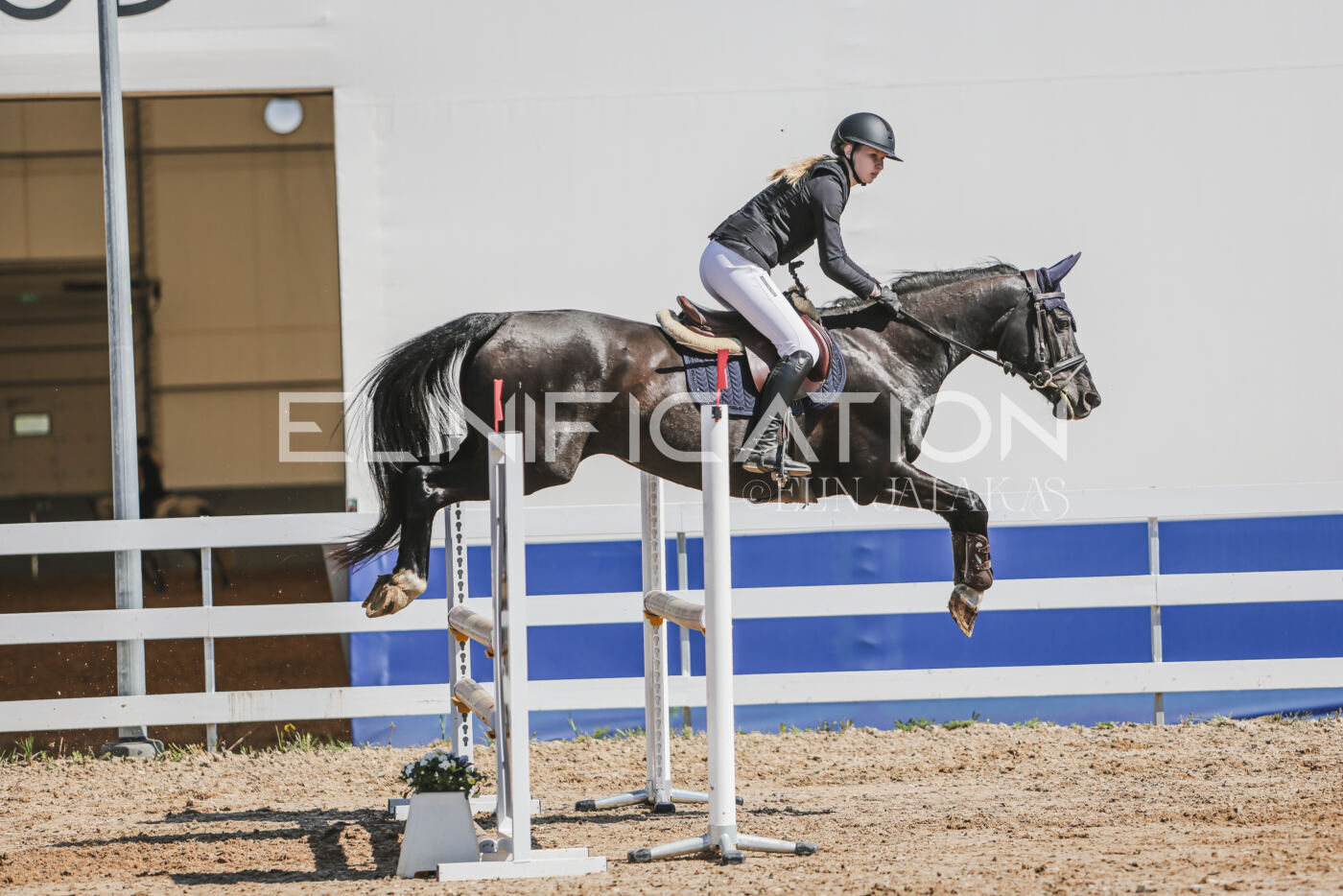 Gramina_Kevad_2026_90_574