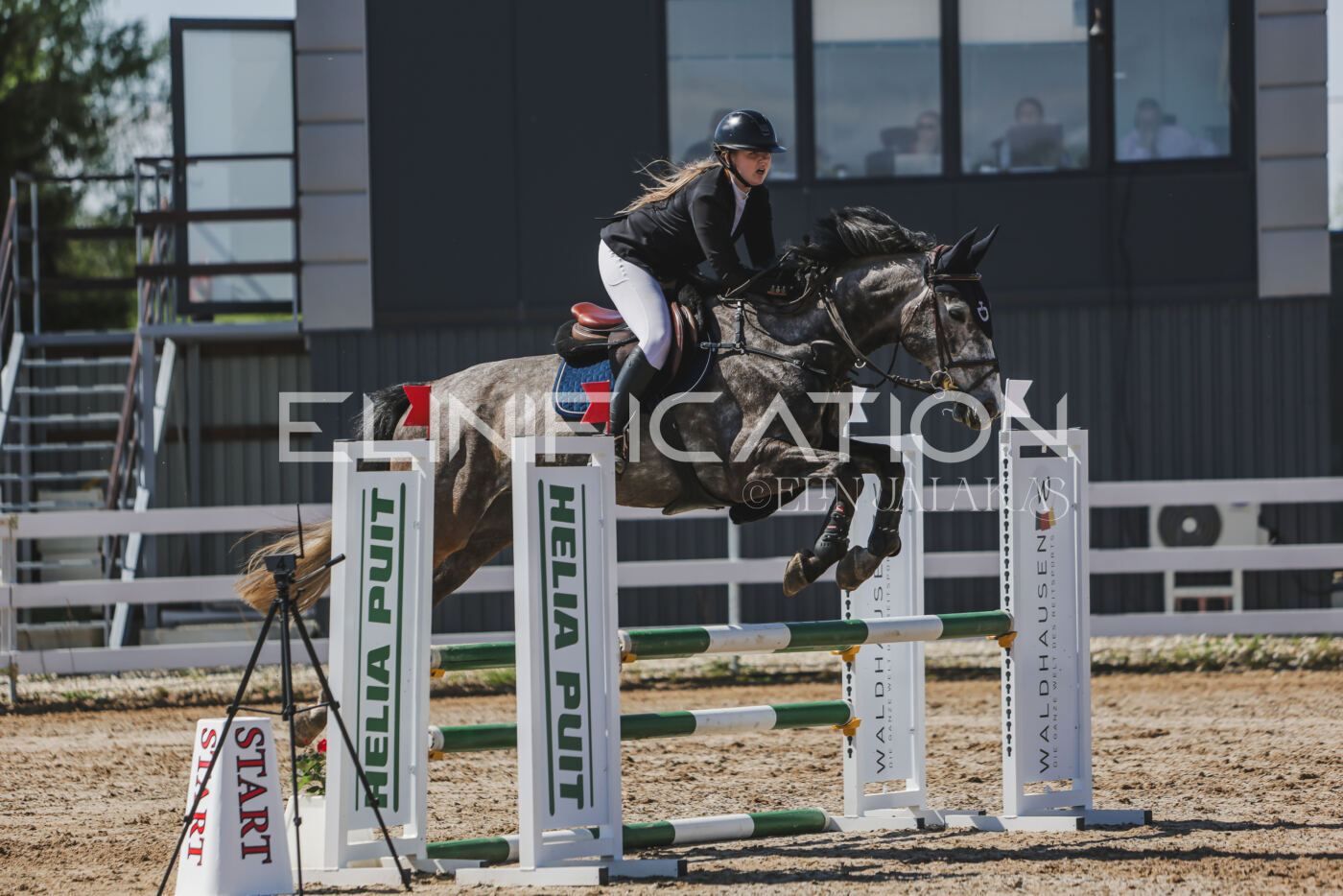 Gramina_Kevad_2026_90_585