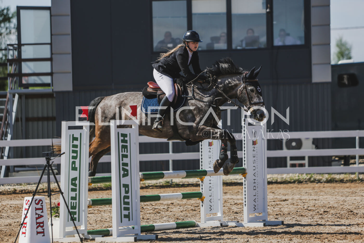 Gramina_Kevad_2026_90_586