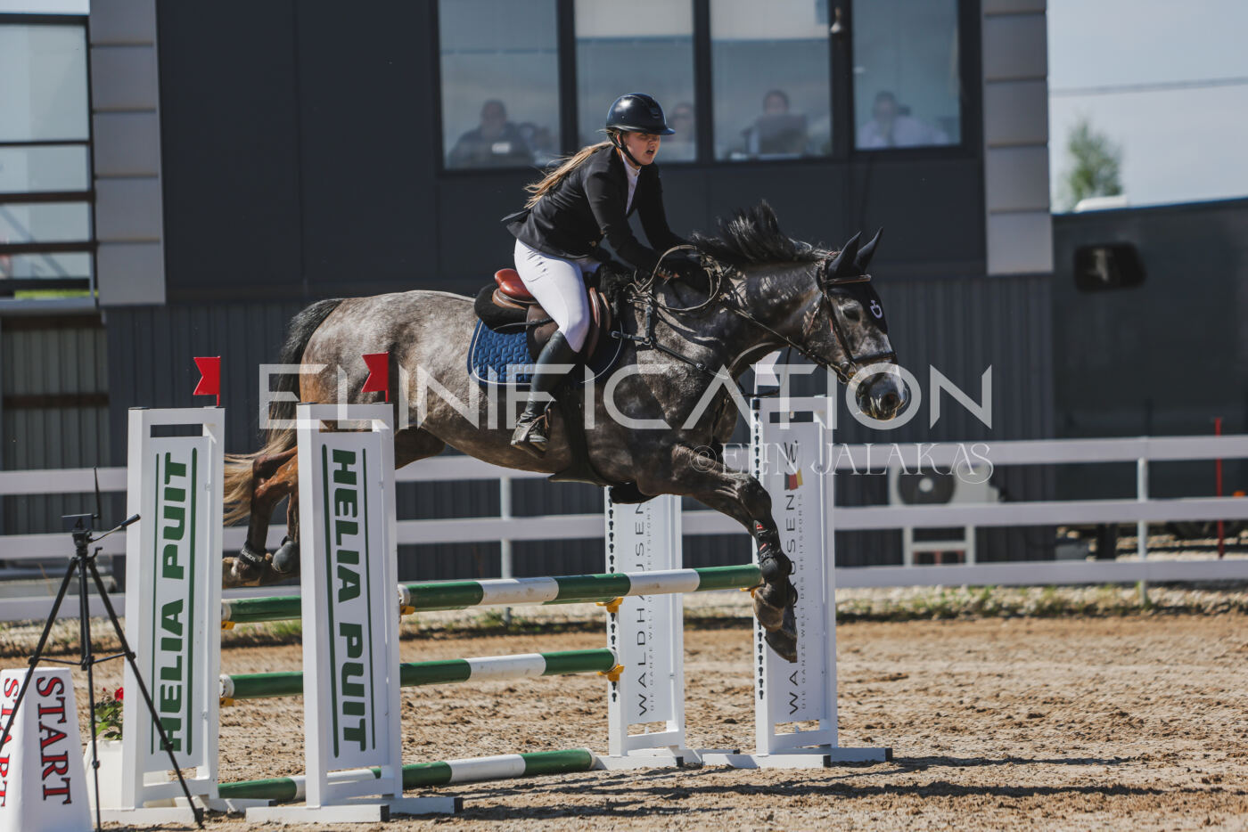 Gramina_Kevad_2026_90_587