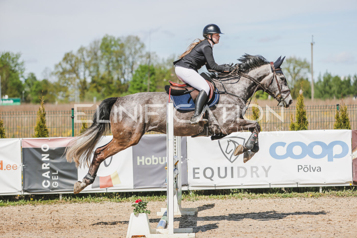 Gramina_Kevad_2026_90_589