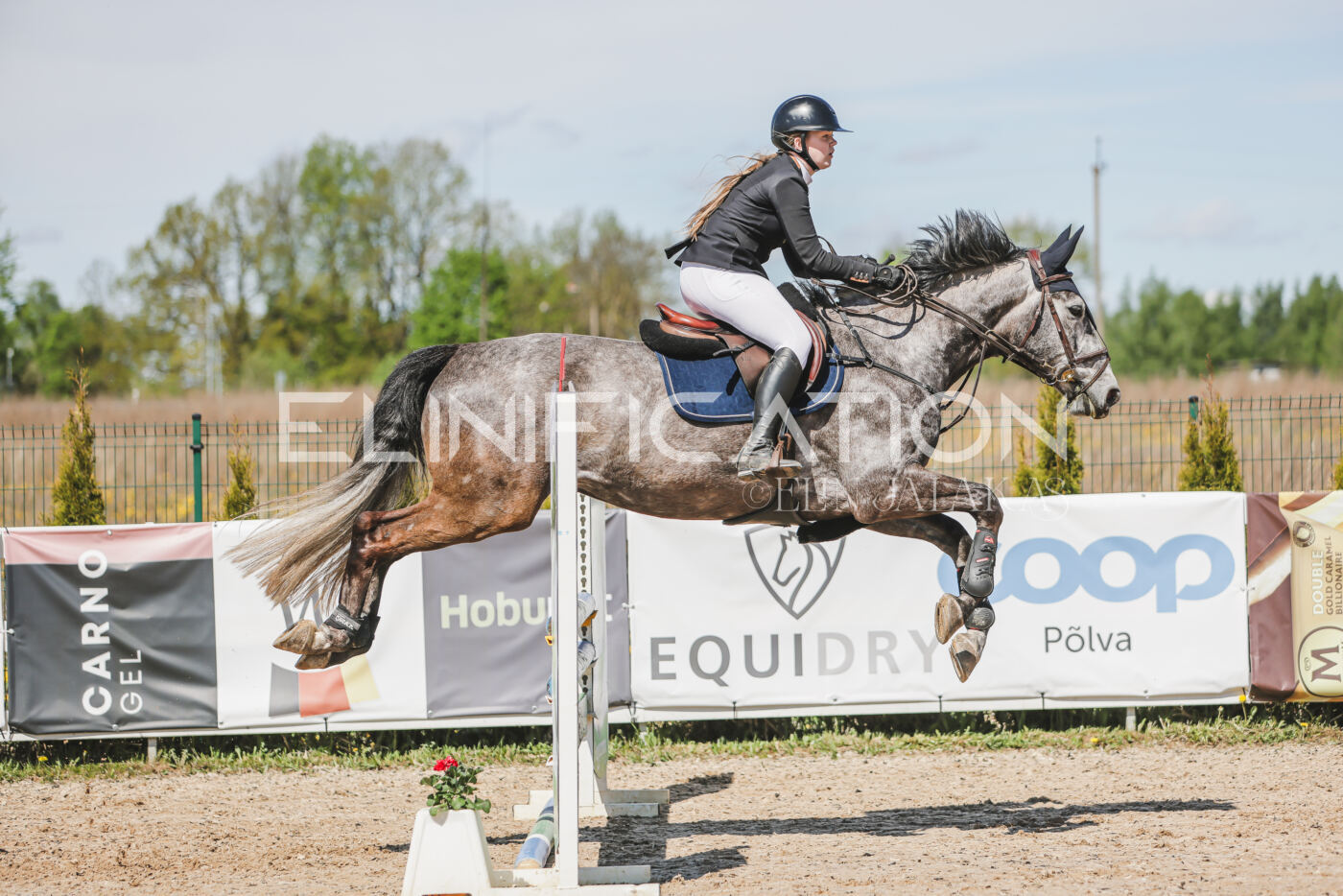 Gramina_Kevad_2026_90_590