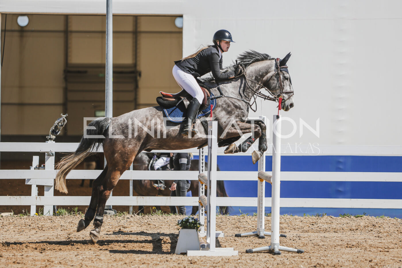 Gramina_Kevad_2026_90_591
