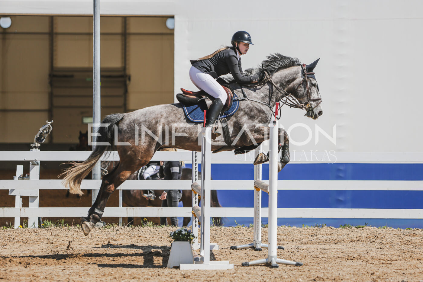 Gramina_Kevad_2026_90_592