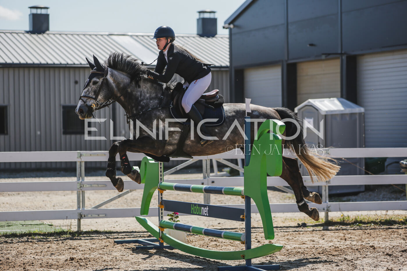 Gramina_Kevad_2026_90_597