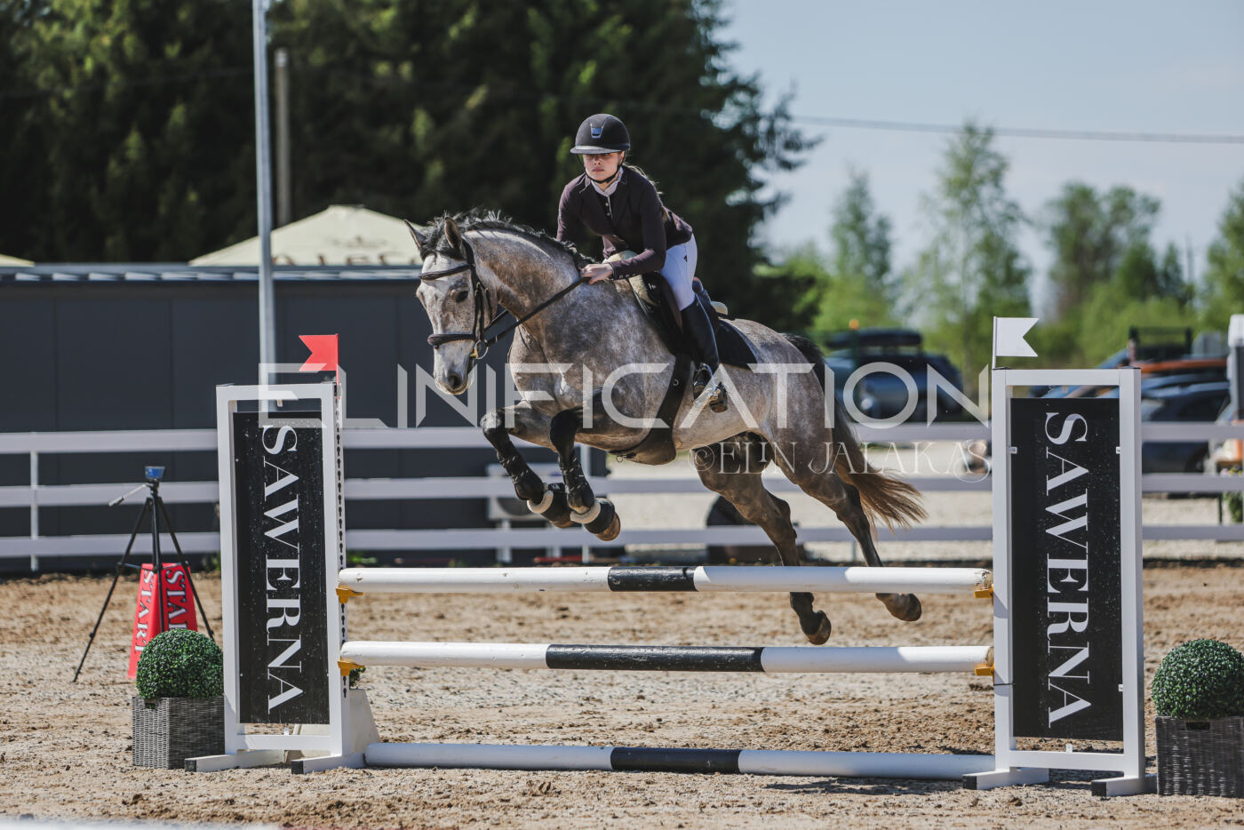 Gramina_Kevad_2026_90_598