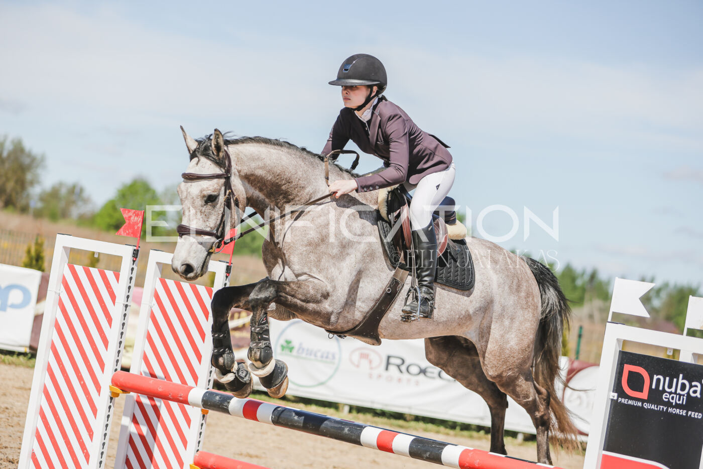 Gramina_Kevad_2026_90_604