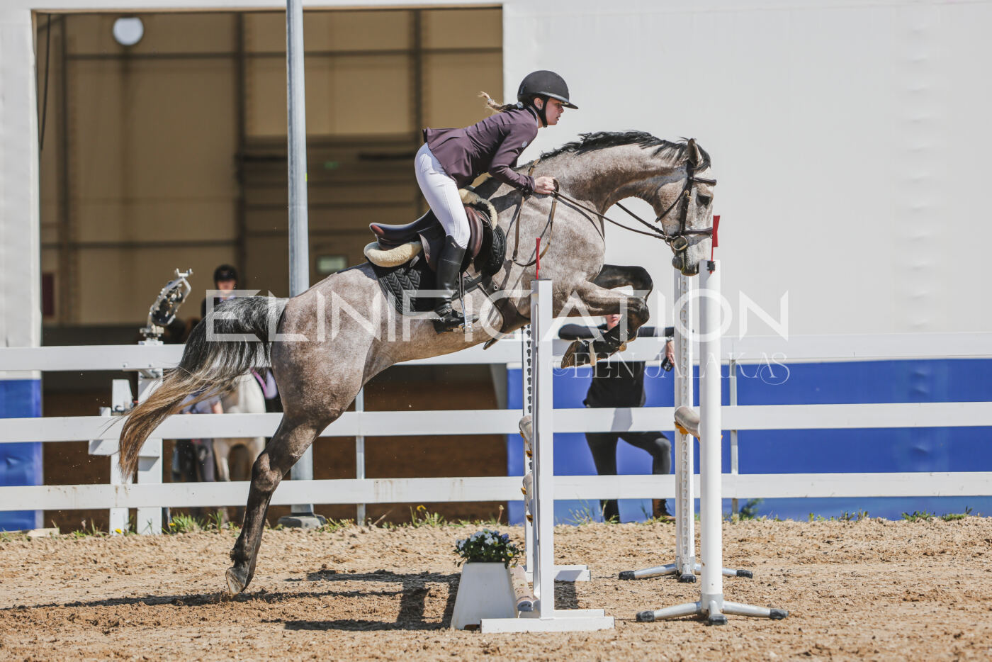 Gramina_Kevad_2026_90_608