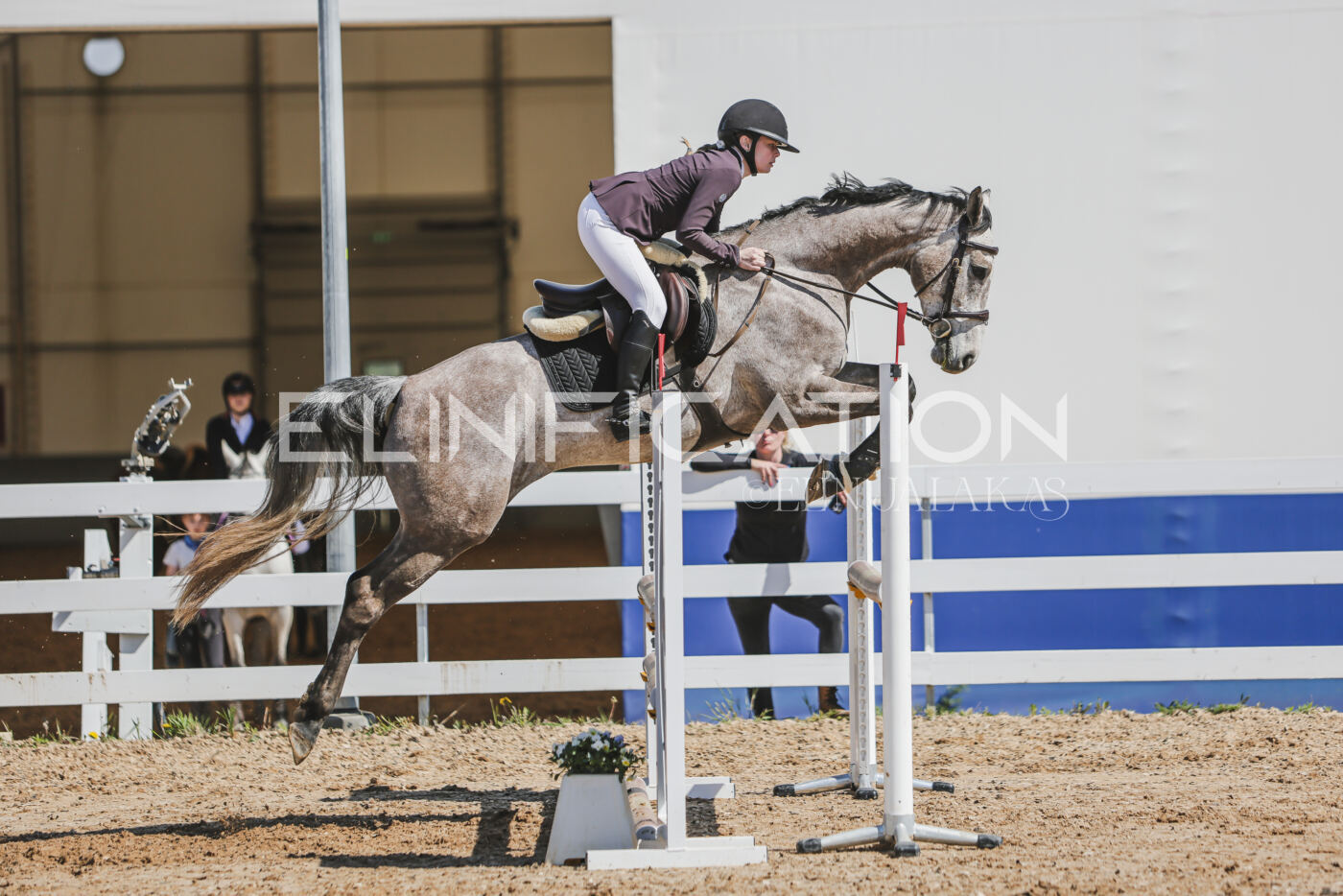 Gramina_Kevad_2026_90_609