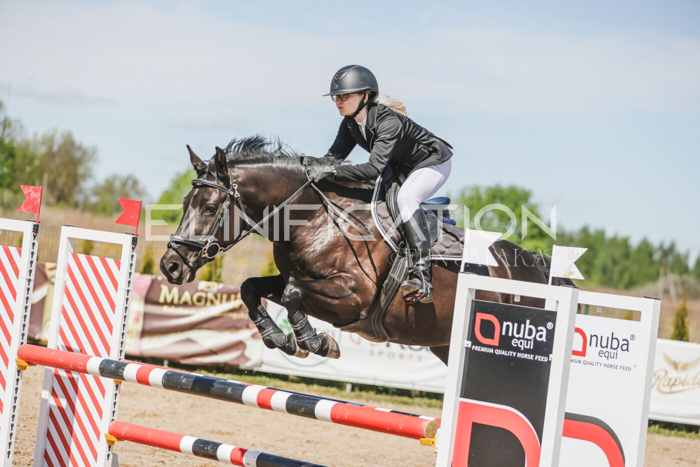 Gramina_Kevad_2026_90_616