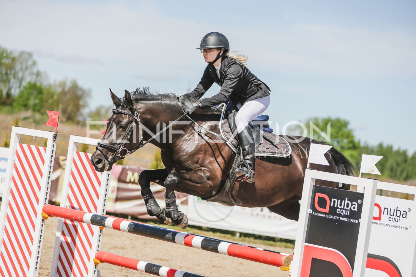 Gramina_Kevad_2026_90_617