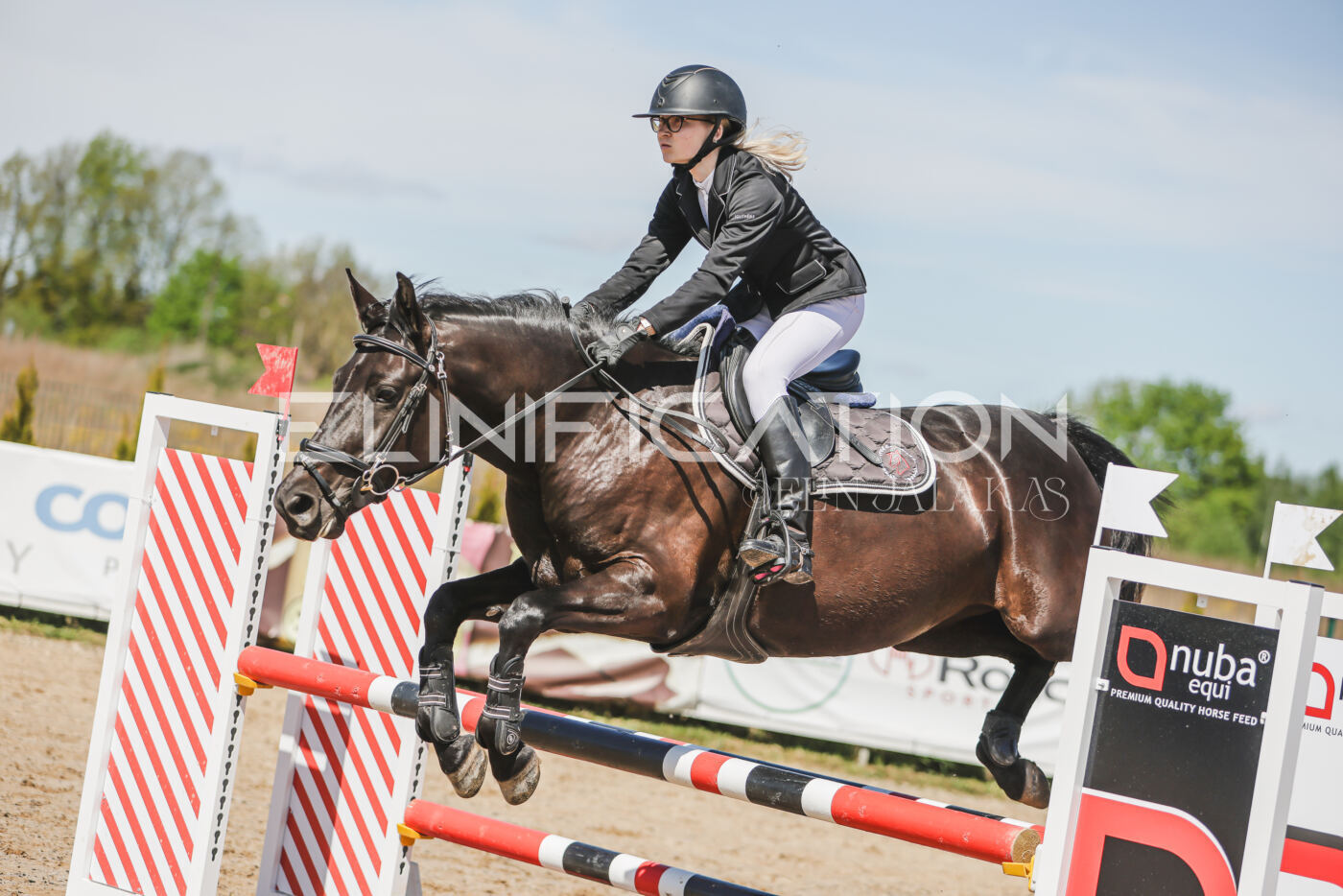 Gramina_Kevad_2026_90_618