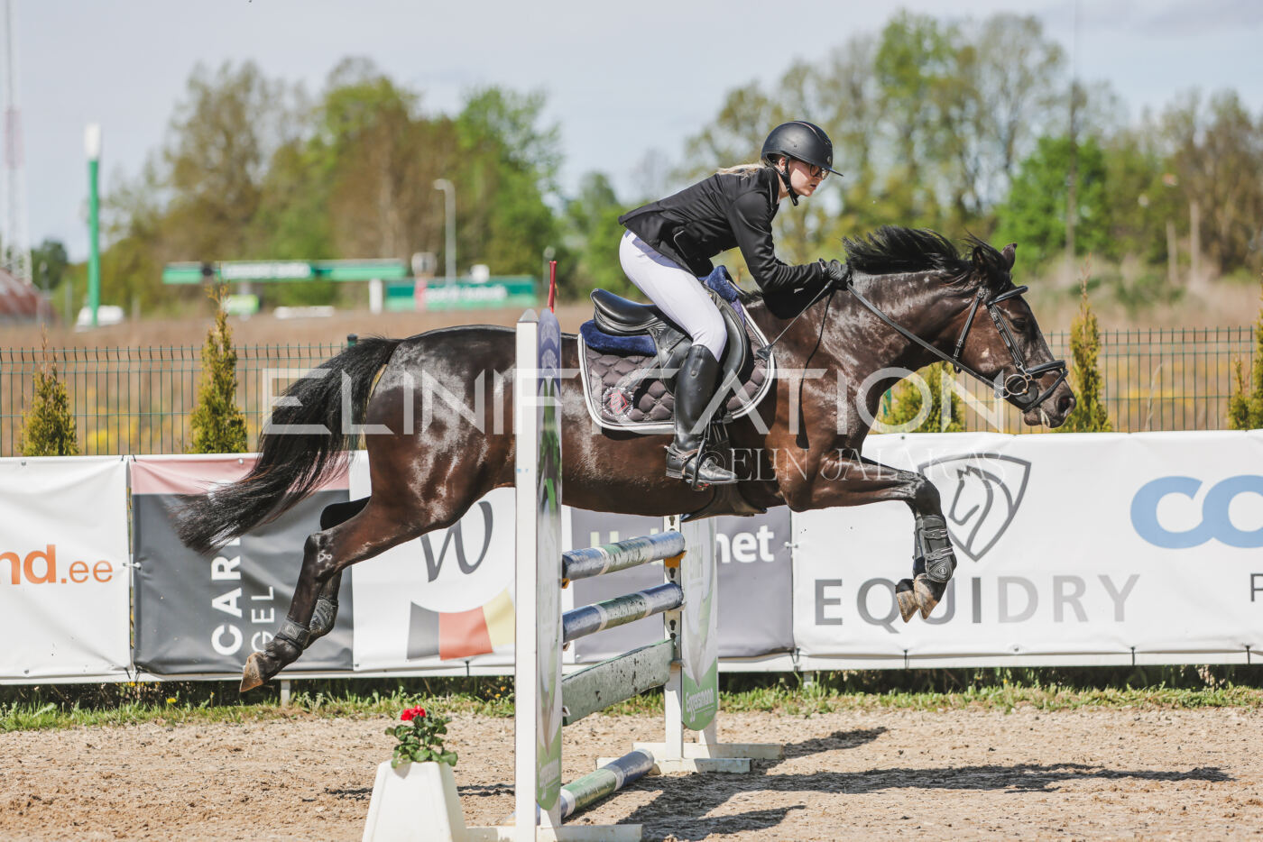 Gramina_Kevad_2026_90_623