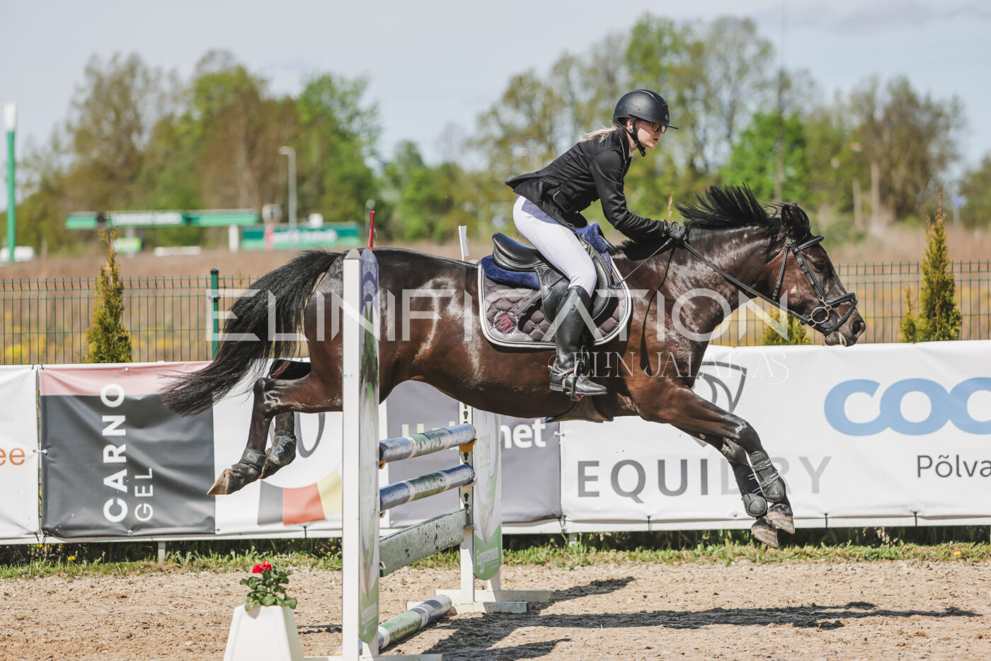 Gramina_Kevad_2026_90_624