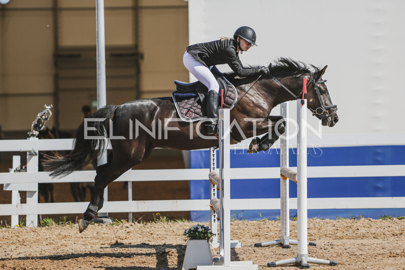 Gramina_Kevad_2026_90_625