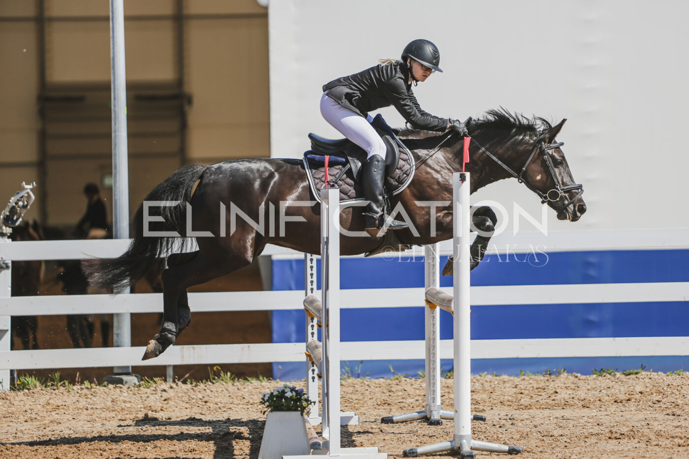 Gramina_Kevad_2026_90_626