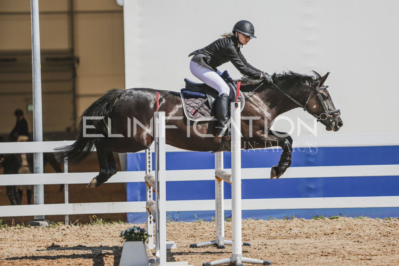 Gramina_Kevad_2026_90_627