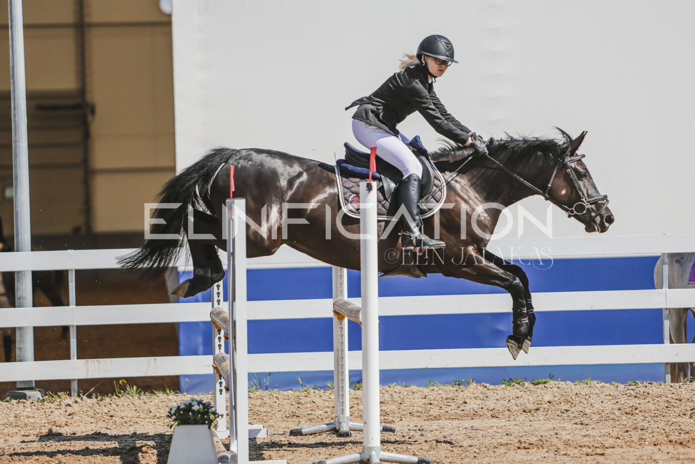 Gramina_Kevad_2026_90_628