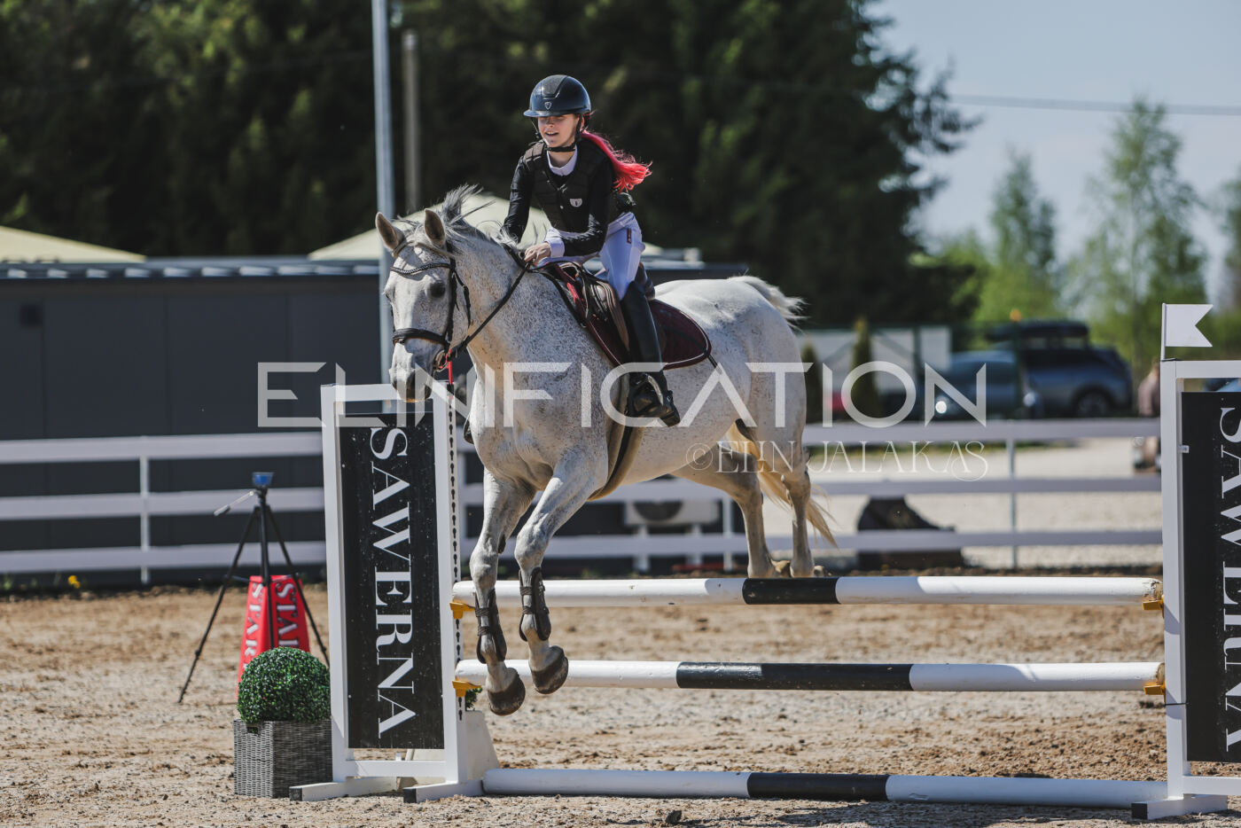 Gramina_Kevad_2026_90_635