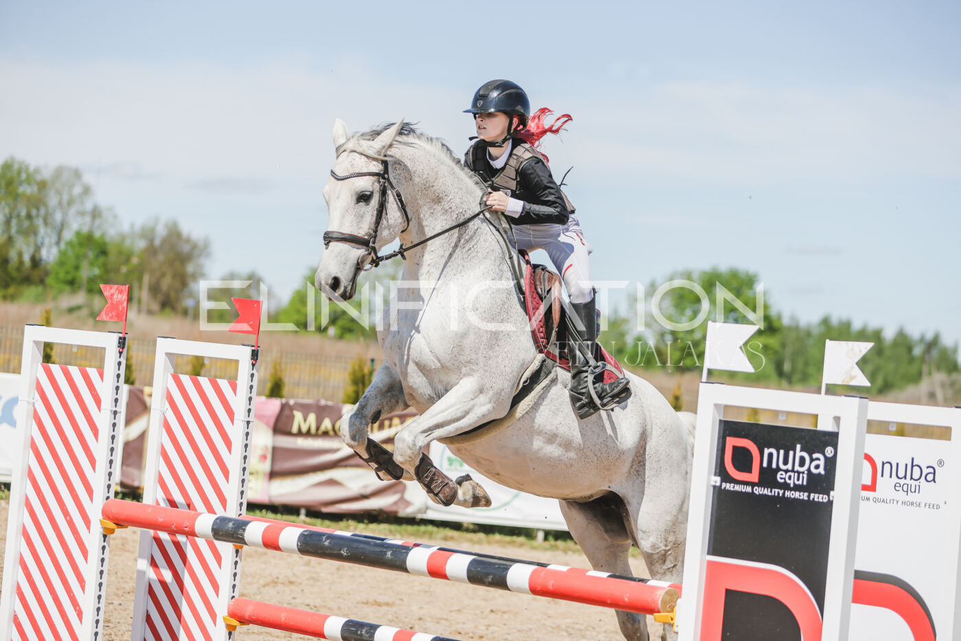 Gramina_Kevad_2026_90_636