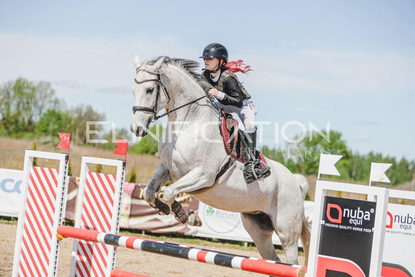 Gramina_Kevad_2026_90_637