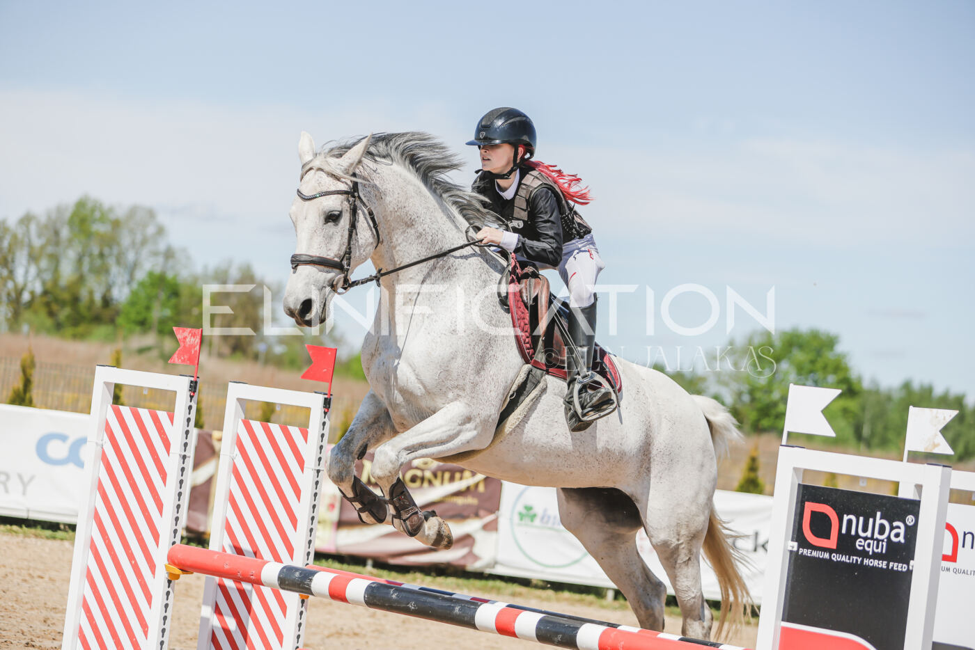 Gramina_Kevad_2026_90_638