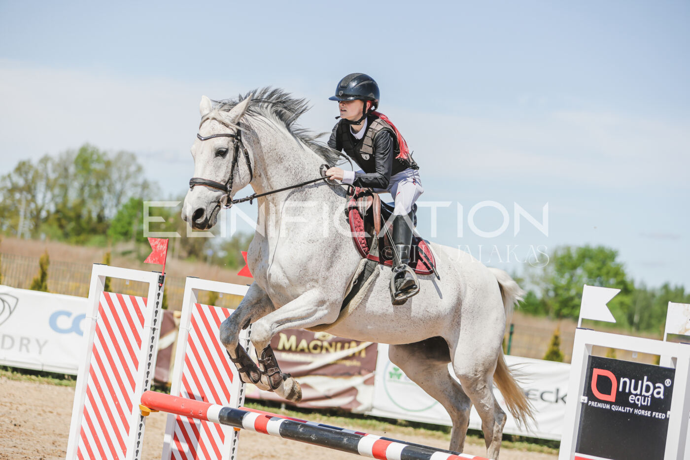 Gramina_Kevad_2026_90_639
