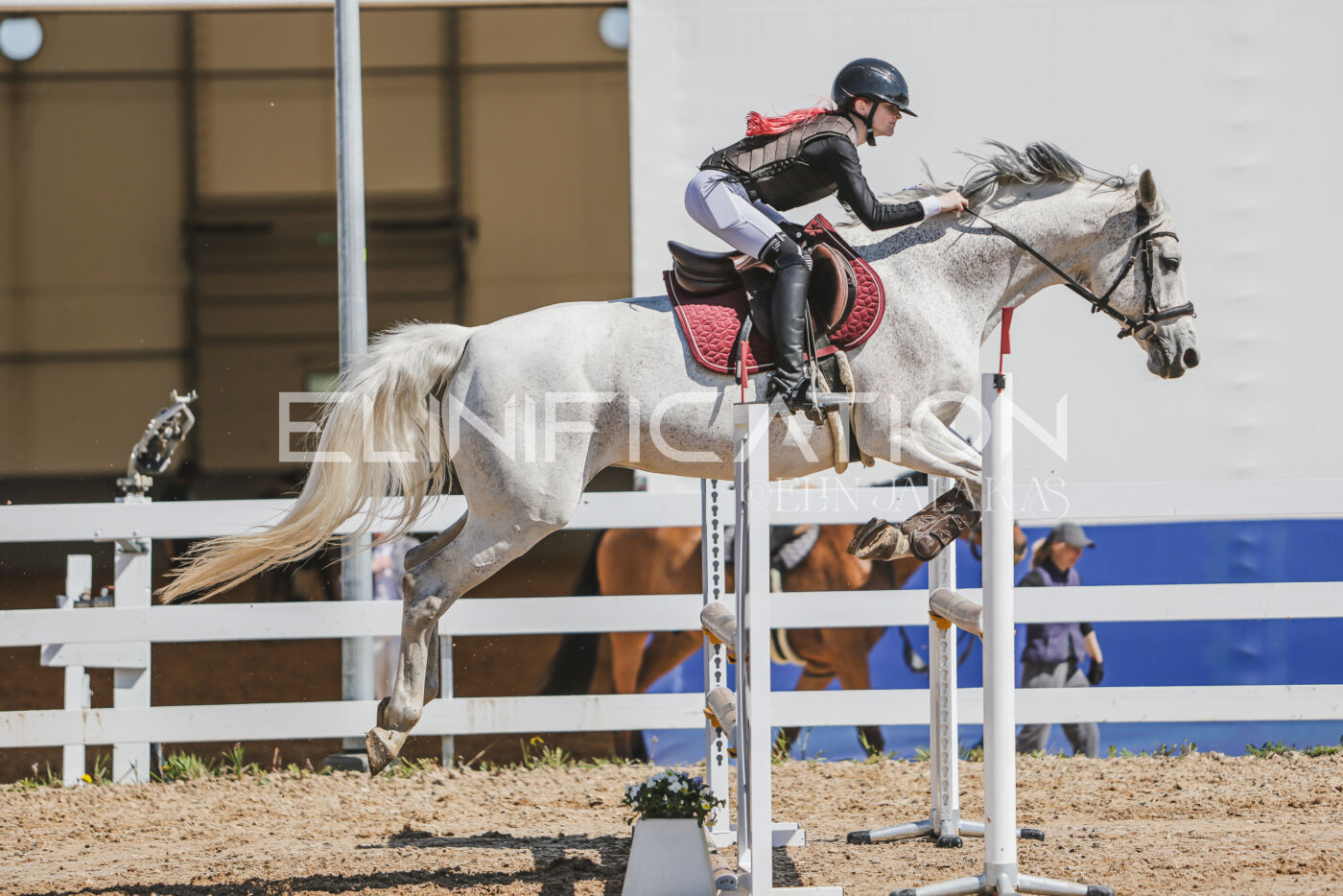 Gramina_Kevad_2026_90_648