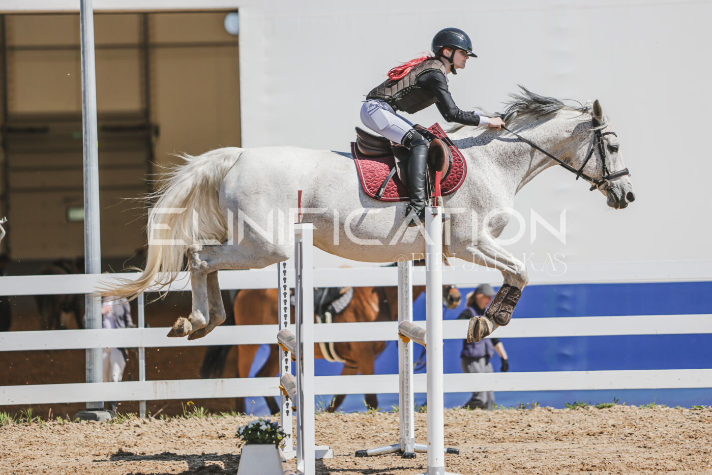 Gramina_Kevad_2026_90_650
