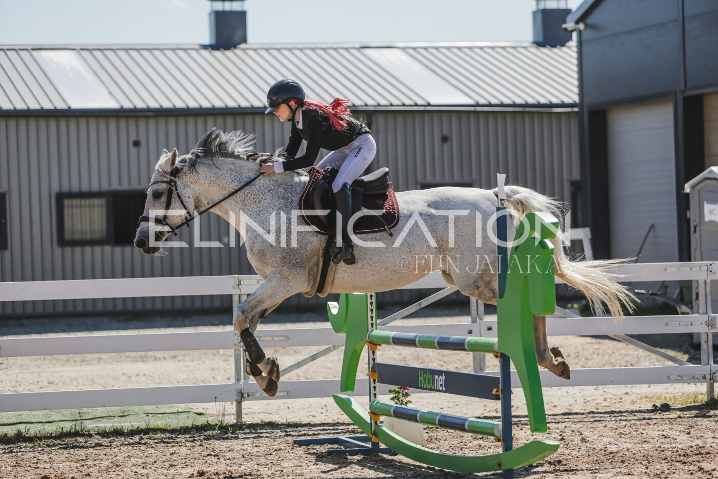 Gramina_Kevad_2026_90_653