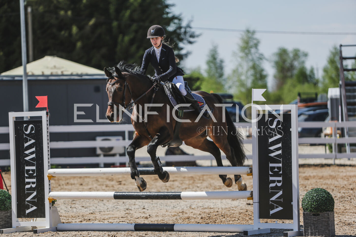 Gramina_Kevad_2026_90_654