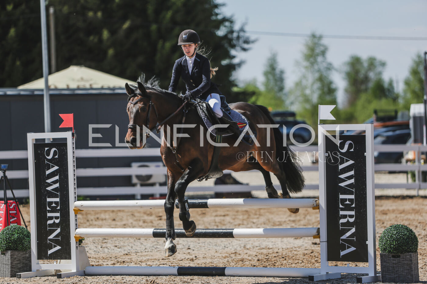 Gramina_Kevad_2026_90_655