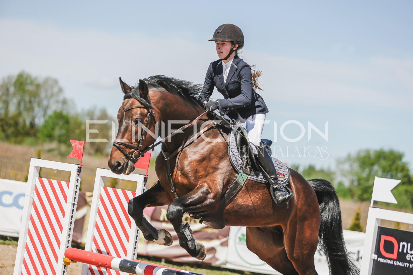 Gramina_Kevad_2026_90_656