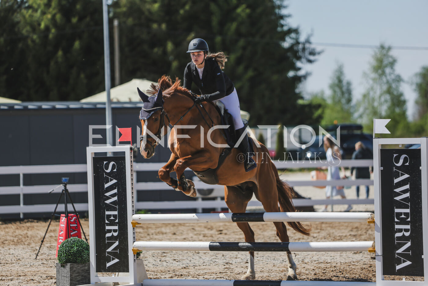 Gramina_Kevad_2026_90_662