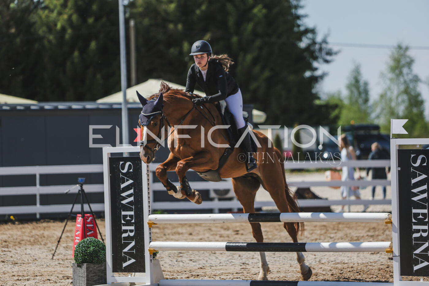 Gramina_Kevad_2026_90_663