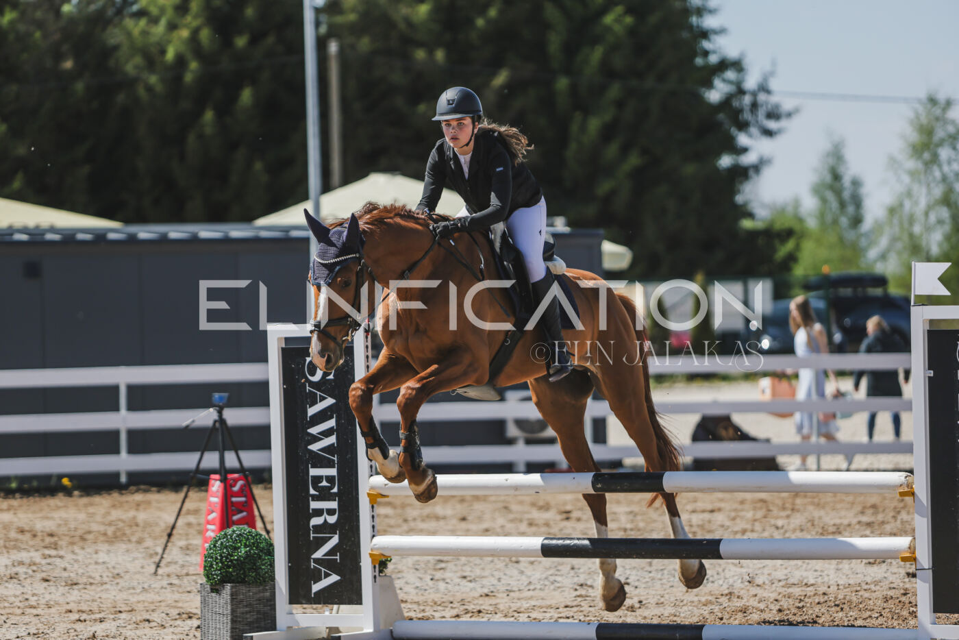 Gramina_Kevad_2026_90_664