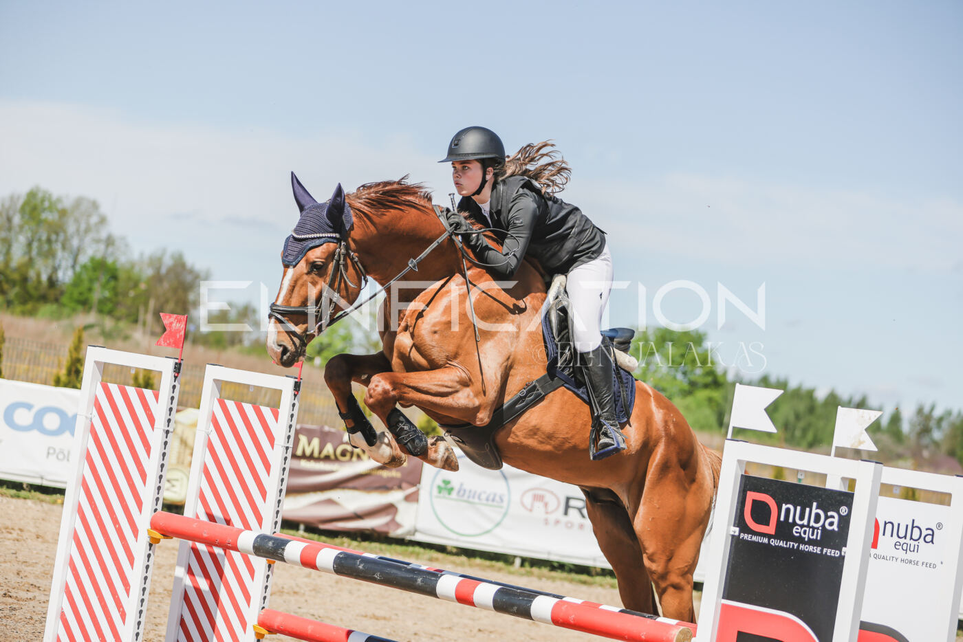 Gramina_Kevad_2026_90_665