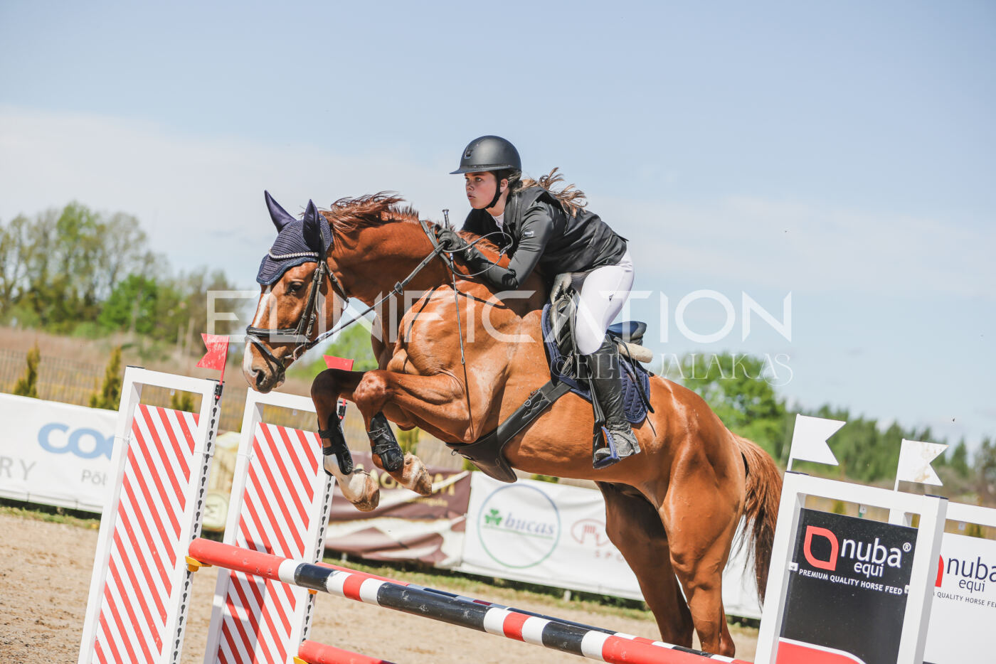 Gramina_Kevad_2026_90_666